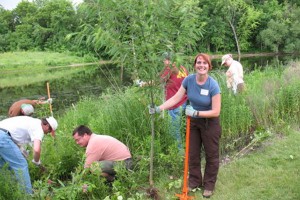 Native Seed Collection in Vermillion River Linear Park @ Vermillion River Linear Park