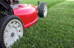 Turfgrass Maintenance Workshop @ Dakota County Western Service Center | Apple Valley | Minnesota | United States