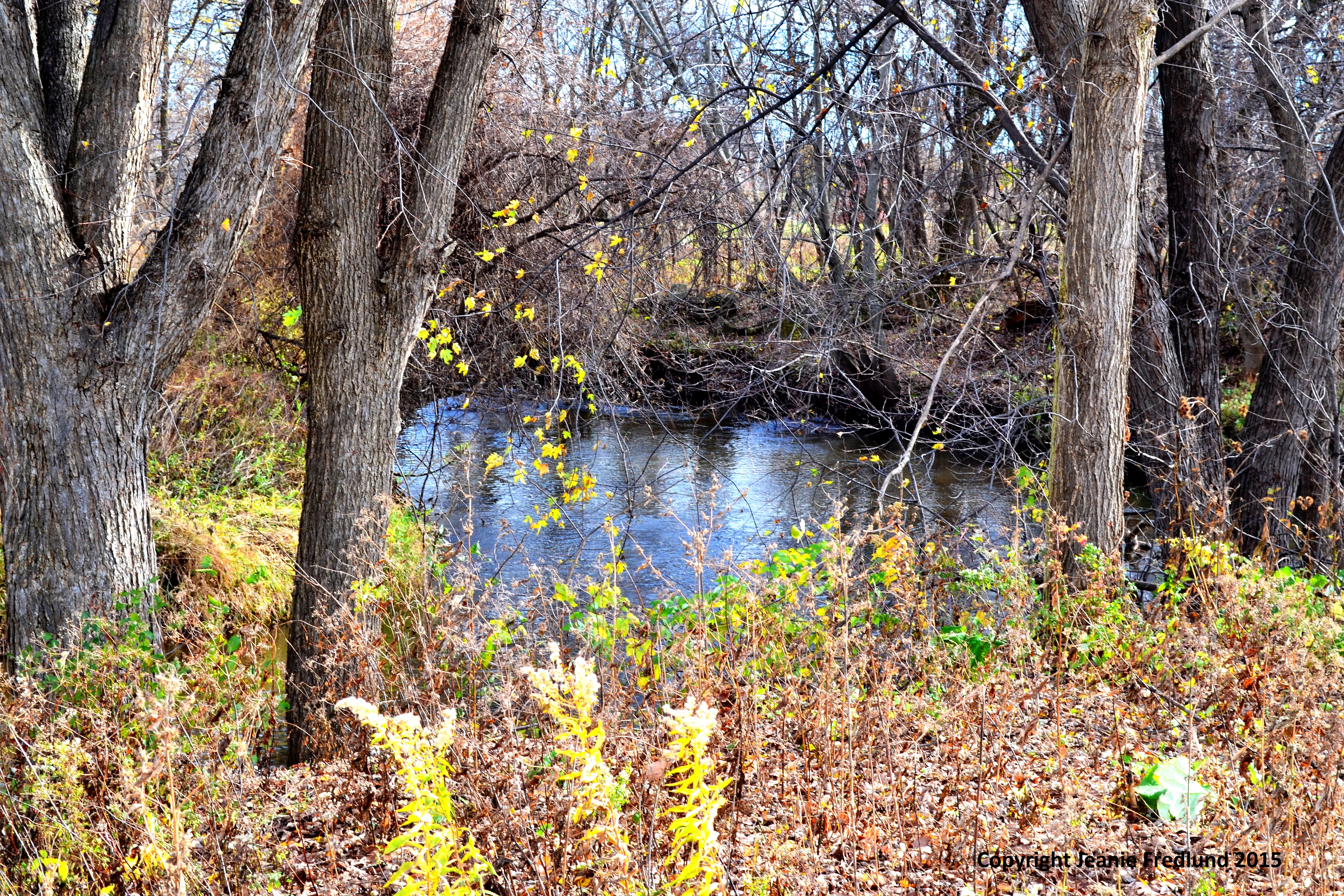 VRWJPO joins Dakota County GroundwaterSource Water Protection