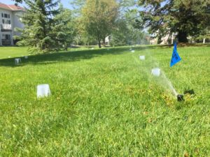 MPCA Turfgrass Maintenance Certification Training @ Dakota County Western Service Center Rm. 106 | Apple Valley | Minnesota | United States
