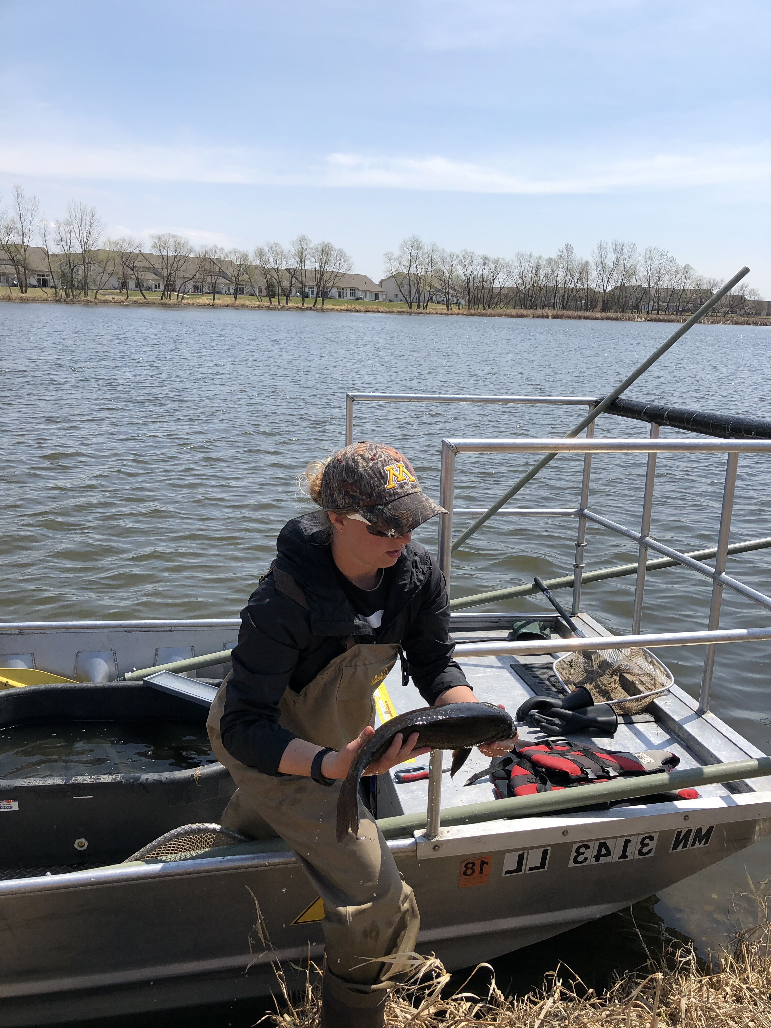 Tracking carp movement in and out of East Lake - Vermillion River Watershed