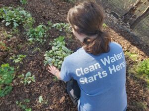 Minnesota Water Steward Information Sessions @ Virtual