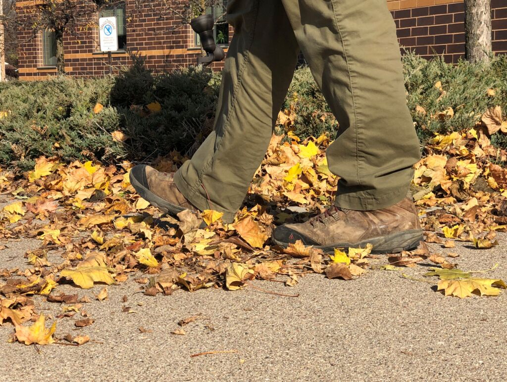 Fall yard and garden maintenance for clean water Vermillion River