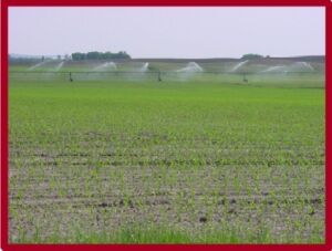 Minnesota Irrigator Program @ Dakota County Extension and Conservation Center