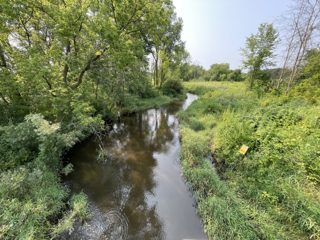 The South Branch of the Vermillion River, surrounded by greenery.